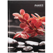 Книга записная твердая обложка. А5, 96 л., клетка  R&B Flower 8457-7-A AXENT