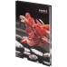 Книга записна тверда обкл. А5, 96 арк., кліт., R&B Flower 8457-7-A AXENT